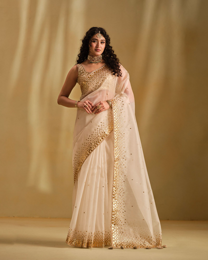 Aahna Kumra in Supriya Saree