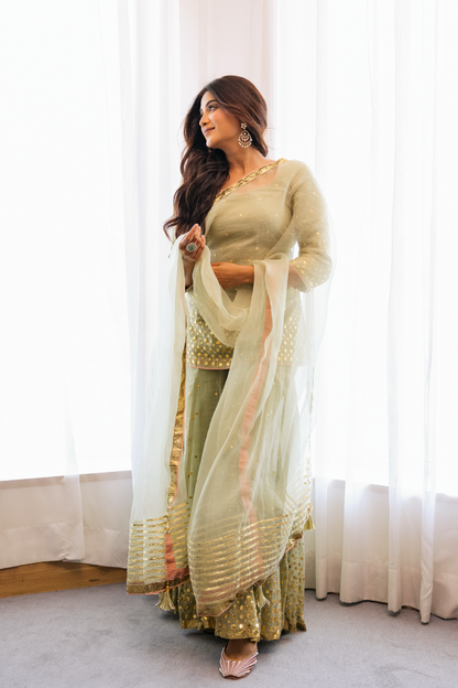 Nikita Kaur Divya Sharara Set