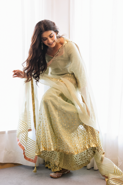 Nikita Kaur Divya Sharara Set