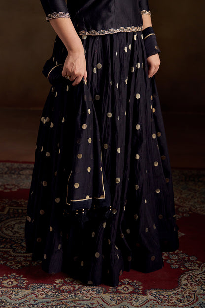 Oorvi Lehenga Set
